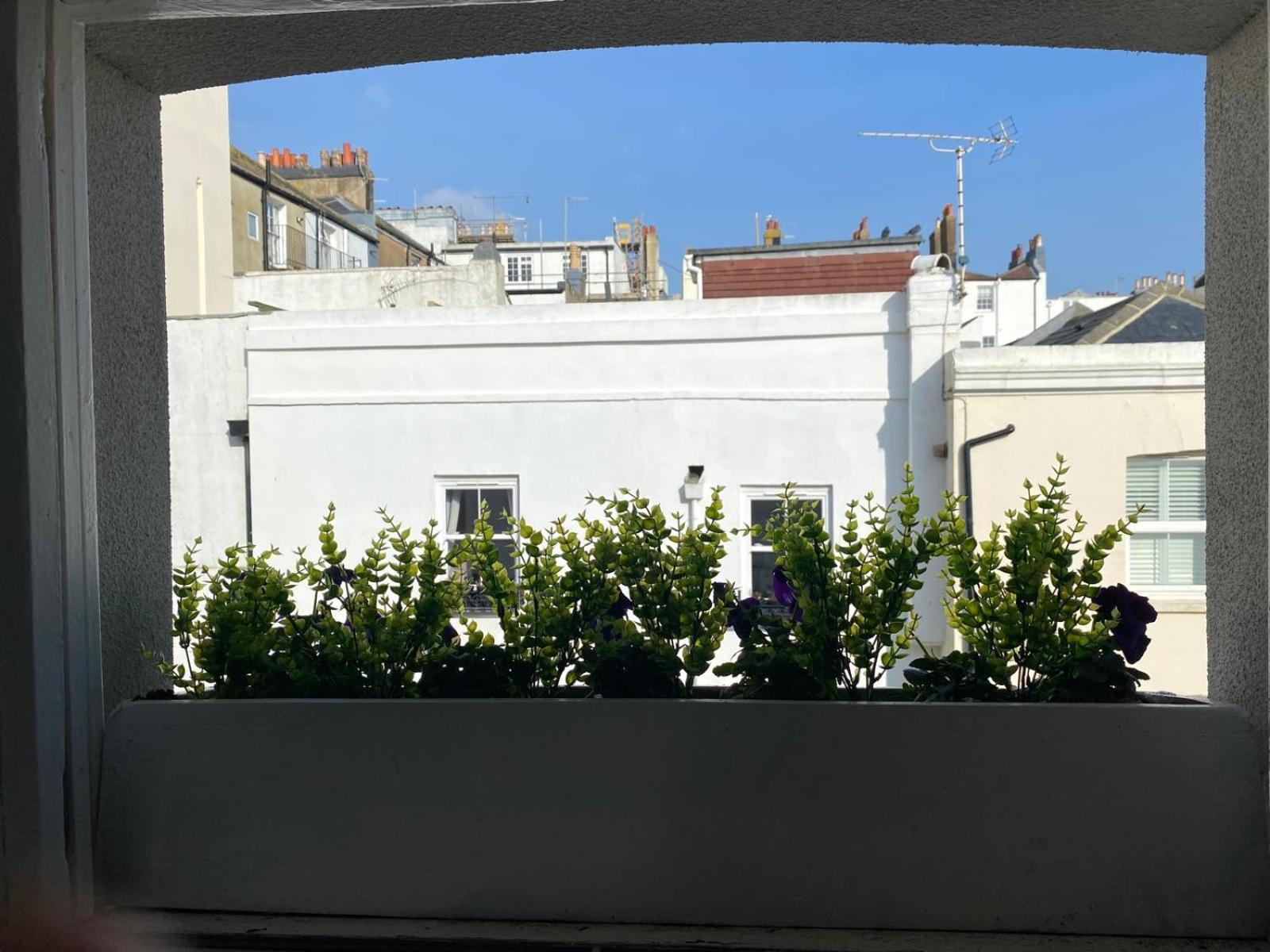 Beautiful Little Brighton Townhouse Lejlighed Eksteriør billede